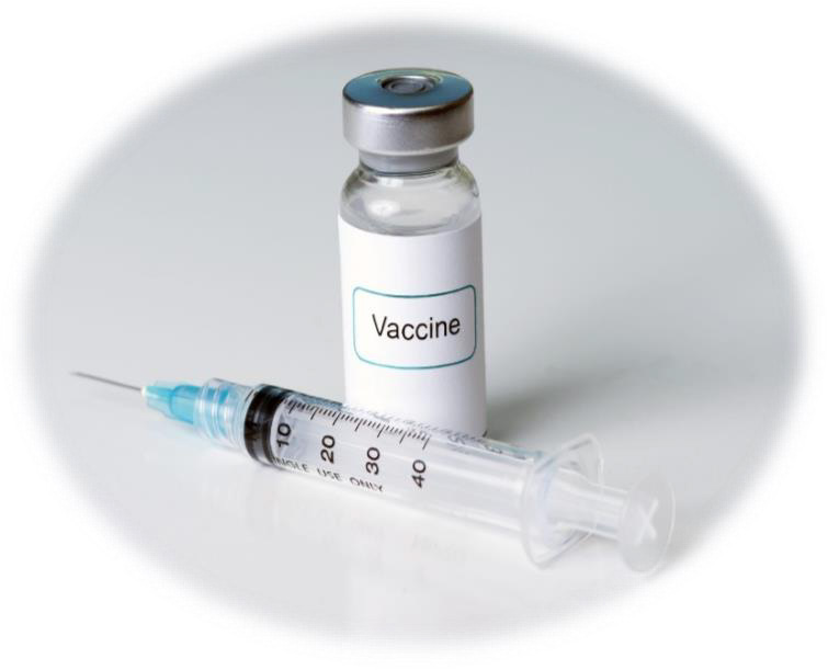 Wellness Wisdom – What is a vaccine?